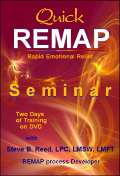 Quick REMAP Seminar on DVD