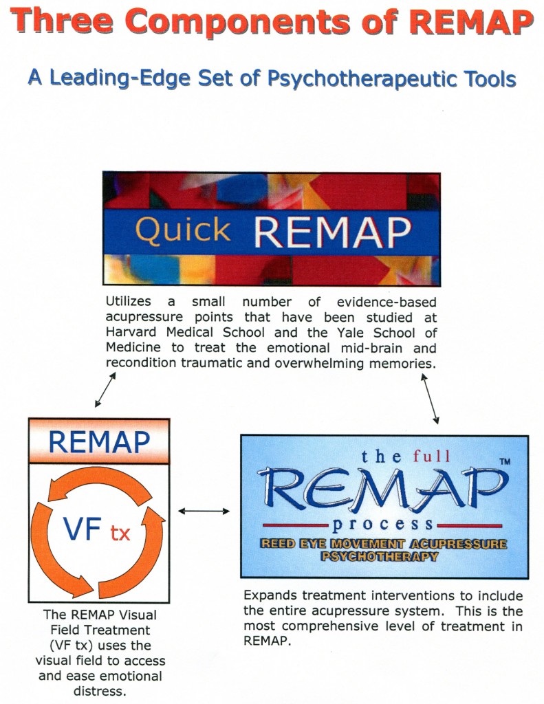 Quick REMAP | full REMAP process | REMAP VF tx